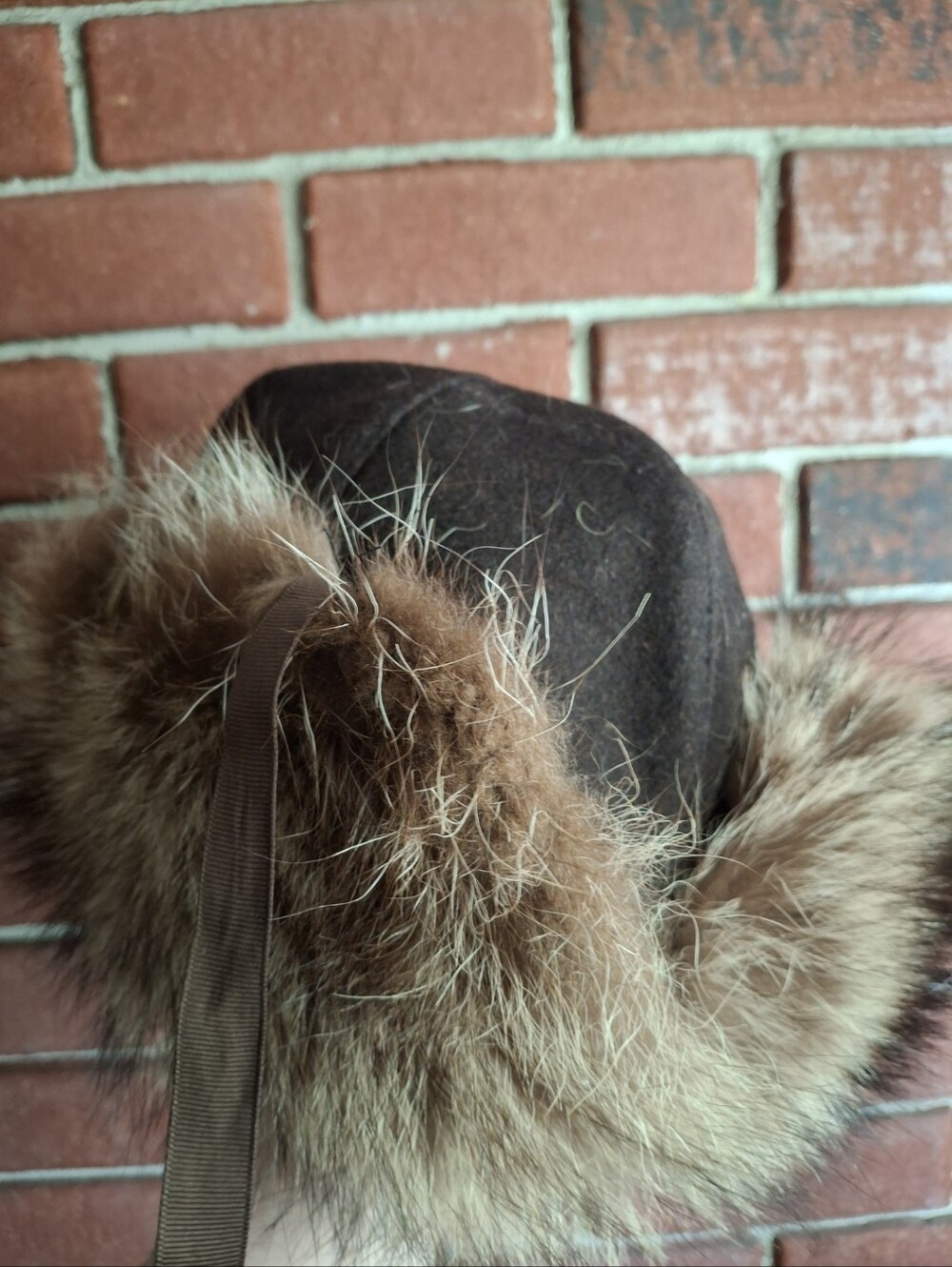 Vintage Racoon Hat - Picture 7 of 7